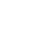 Icon Skilled Craftsmen