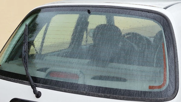 Rear Window Replacement